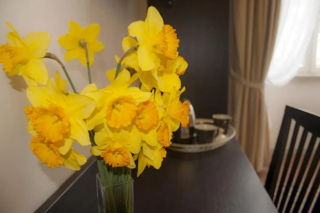 Laterani Suite Rome Guest house